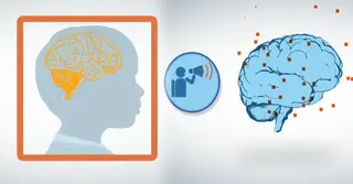 শিশুদের মস্তিষ্ক পর্যবেক্ষণে নতুন প্রযুক্তির উদ্ভাবন ক্যামব্রিজ গবেষকদের